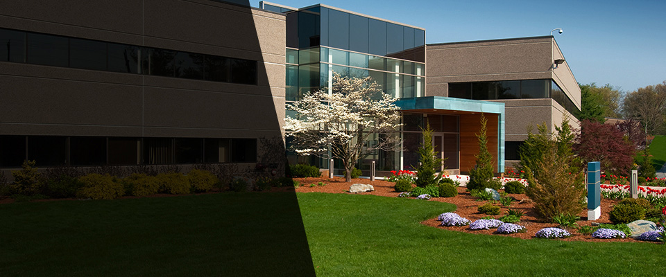Moneta Landscapers