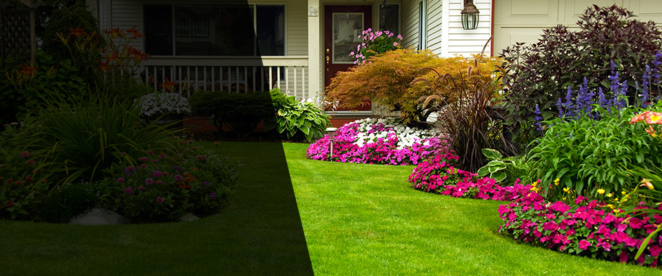 Moneta Landscapers