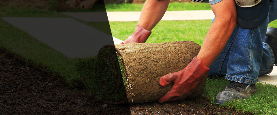 Moneta Landscapers